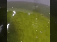 ऑनलाइन ऑप्टिकल डिसॉल्व्ड ऑक्सीजन सेंसर Rs485 ऑक्सीजन ऑप्टिकल सेंसर